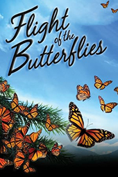 GSE Flight of the Butterfllies